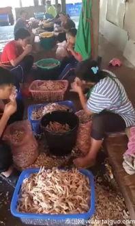 无骨鸡爪新闻爆料,揭秘食品安全背后的真相
